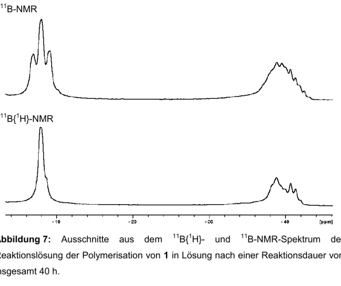 Abbildung 7:  Ausschnitte  aus  dem  11 B{ 1 H}-  und  11 B-NMR-Spektrum  der  Reaktionslösung der Polymerisation von 1 in Lösung nach einer Reaktionsdauer von  insgesamt 40 h