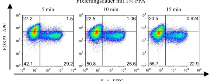 Abb. 4-7:  Einfluss der Fixierungsdauer mit 1%PFA auf die Anfärbbarkeit fixierter Zellen  für FOXP3 und IL-4 