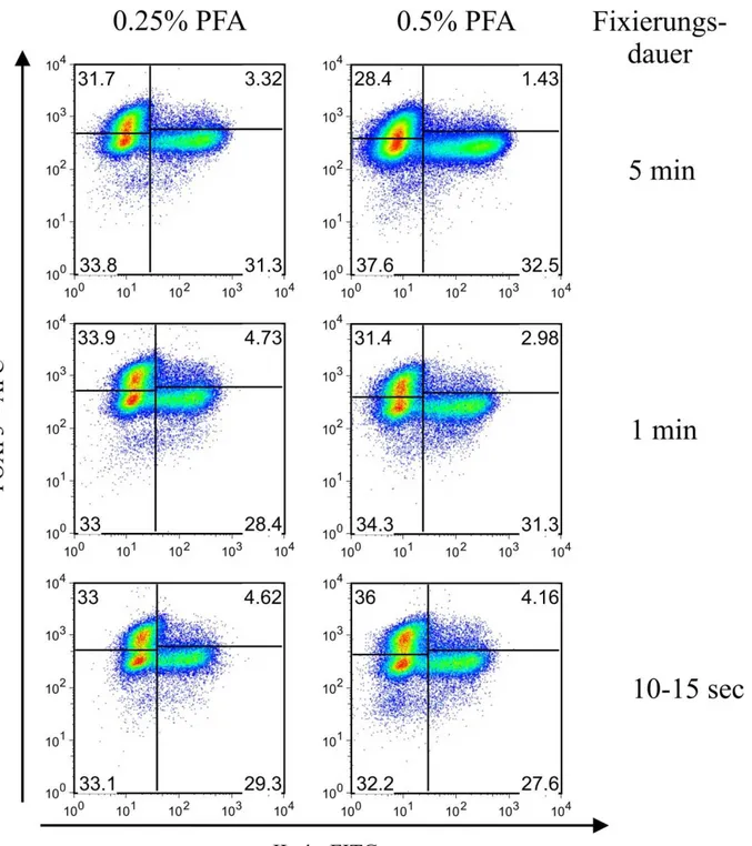 Abb. 4-8:  Einfluss der Fixierungsdauer und der PFA-Konzentration auf die Anfärbbarkeit  fixierter Zellen für FOXP3 und IL-4 