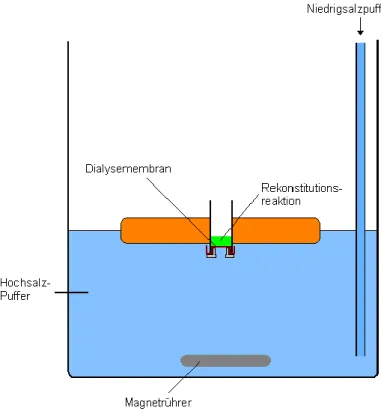 Abbildung  13:  Reaktionsaufbau  der  Salzgradientdialyse  zur  Chromatin-Rekonstitution  (modifiziert nach Sonja Völker, Diplomarbeit 2009)