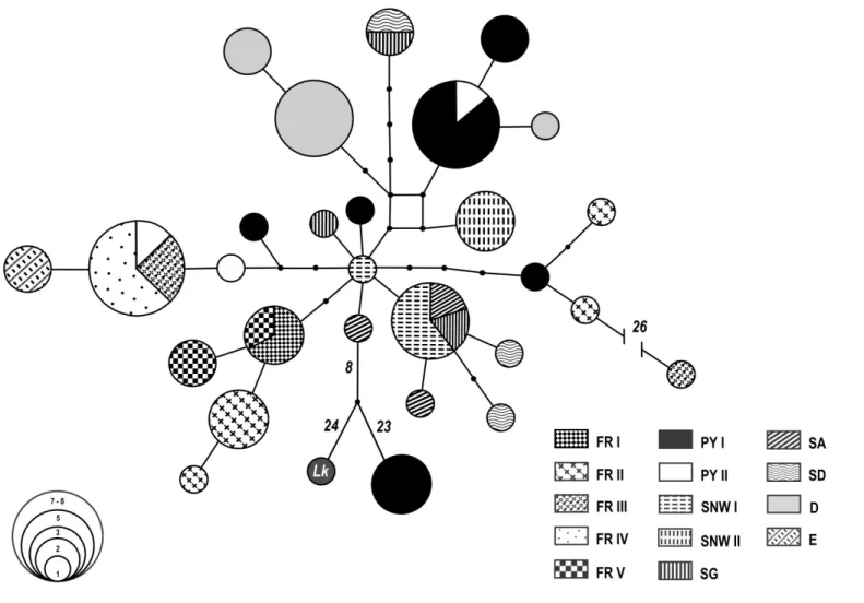 Figure 3.3 Haplotype network of Leptothorax acervorum from SW-Europe, Germany (D) and England (E)