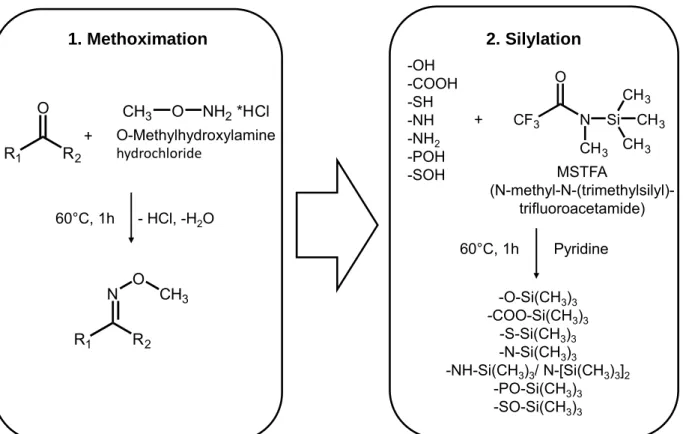 Figure 4.2 Commonly used two-step derivatization procedure for GC-MS based metabolomics