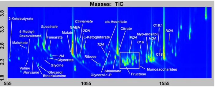 Figure 4.5 GC×GC-TOFMS chromatogram of an avocado sample. Avocado pulp (40 mg) was homoge- homoge-nized and extracted using cold methanol, extract was dried, derivatized (methoximation/silylation), and  analyzed by GC×GC-TOFMS [12]