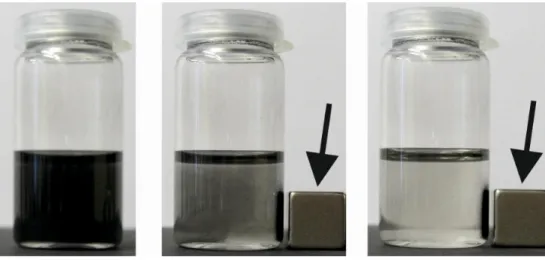 Figure 2 |  Magnetic  nanoparticles  can  be  collected  by  using  an  external  permanent  magnet  (arrow)