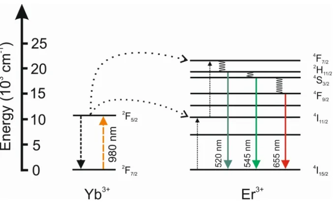 Figure  5,  exhibiting  distinct  emission  peaks  at  360 nm  ( 1 D 2 →  3 H 6 ),  475 nm  ( 1 G 4  →  3 H 6 ),  648 nm ( 1 G 4  →  3 F 4 ), and 800 nm ( 3 H 4  →  3 H 6 )