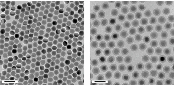 Figure 6 |  TEM  images  of  lanthanide-doped  NaYF 4   UCLNPs  before  (left)  and  after  (right)  silica coating
