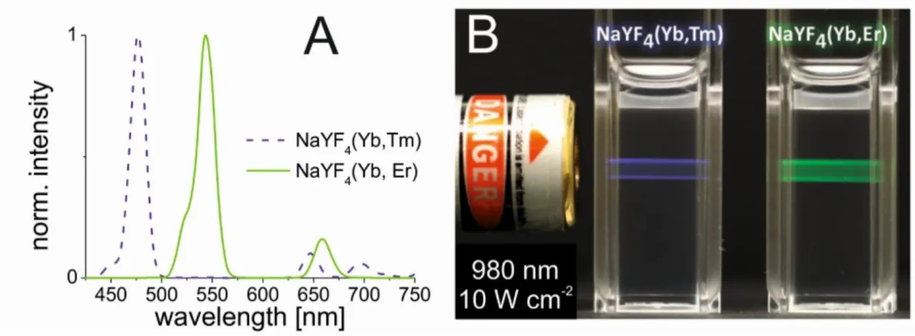 Figure 7 |  (A)  Normalized  upconversion  luminescence  spectra  of  Yb 3 + /Tm 3 +   (dashed  blue  line)  and  Yb 3 + /Er 3 + -doped  (solid  green  line)  multicolor  β-NaYF 4   nanocrystals