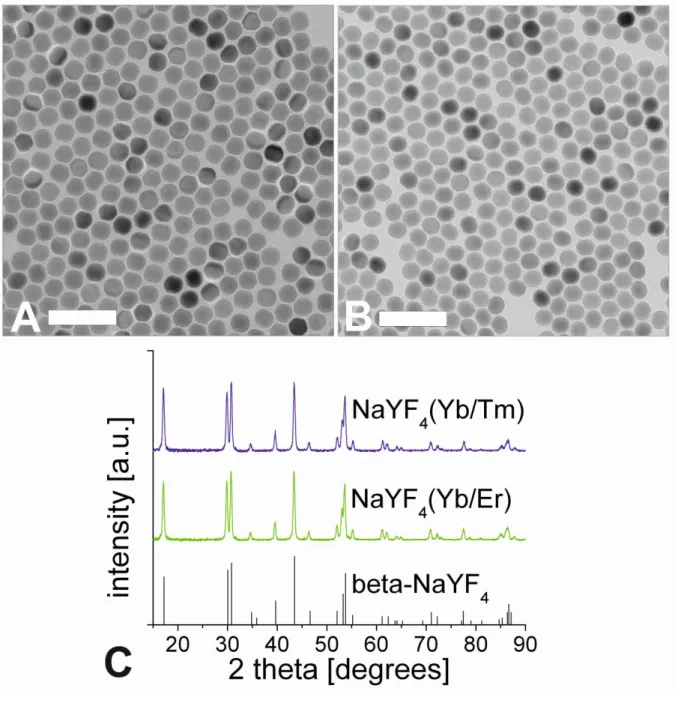 Figure 8 |  TEM  images  of  NaYF 4 (20 % Yb 3 + /2 % Er 3 + )  (A)  and  NaYF 4 (25 % Yb 3 + /0.3 % Tm 3+ ) ( B) upconversion luminescent nanoparticles, respectively
