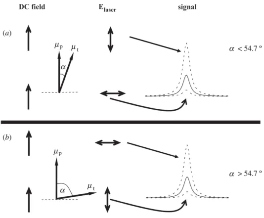 Fig. 3.4: Schematic depiction illustrating the effect of a DC electric field on the intensity of a transition signal for different directions of the laser polarization E laser , parallel and perpendicular relative to the electric field