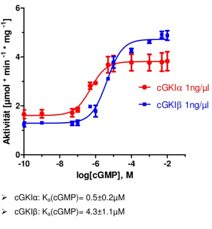 Abbildung  11:  In  vitro-Aktivierung  von  aufgereinigten  Kinasen  durch  cGMP  unter  Verwendung  des  Substratpeptides VASPtide