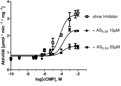 Abbildung  13:  Aktivitätsbestimmung  endogener  Kinasen  in  Lungen  WT-Gewebelysaten  unter  cCMP- cCMP-Stimulation  (Substratpeptid  VASPtide  400µM)  und  Zugabe  von  unterschiedlichen  AS 5-24 -Konzentrationen  (zur  cAK-Blockade)