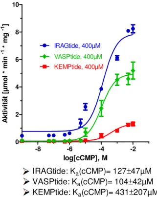 Abbildung  14:  Aktivitätsbestimmung  endogener  Kinasen  in  Jejunum-WT-Gewebelysat  unter  cCMP- cCMP-Stimulation  und  Verwendung  von  verschiedenen  Substraten