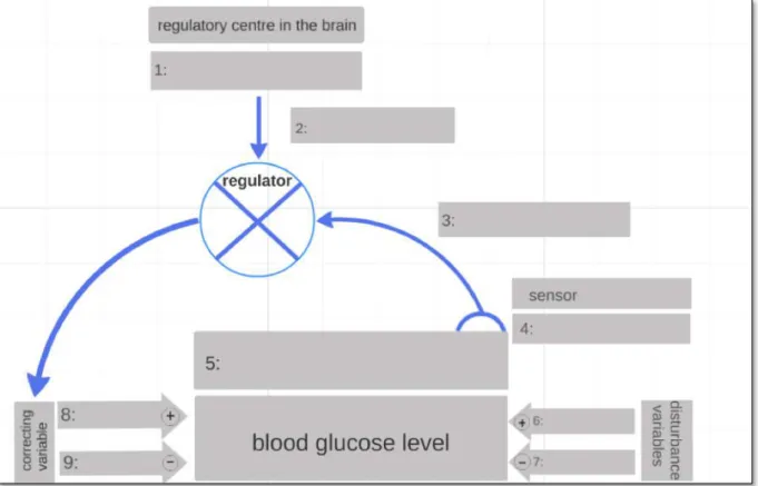 Figure B2.01 Regulatory circuit of the blood glucose level 