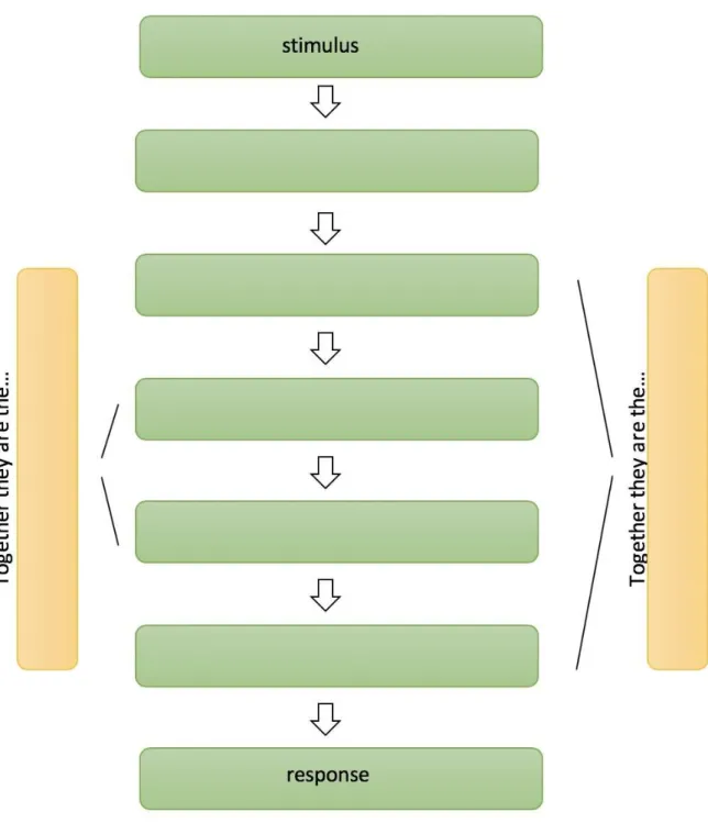 Figure B3.03 The Stimulus-response-model 