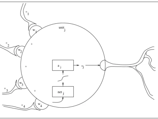 Abbildung 2.3: Das Modell einer einzelnen Unit.