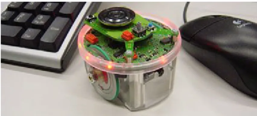 Figure 1: The epuck robot.