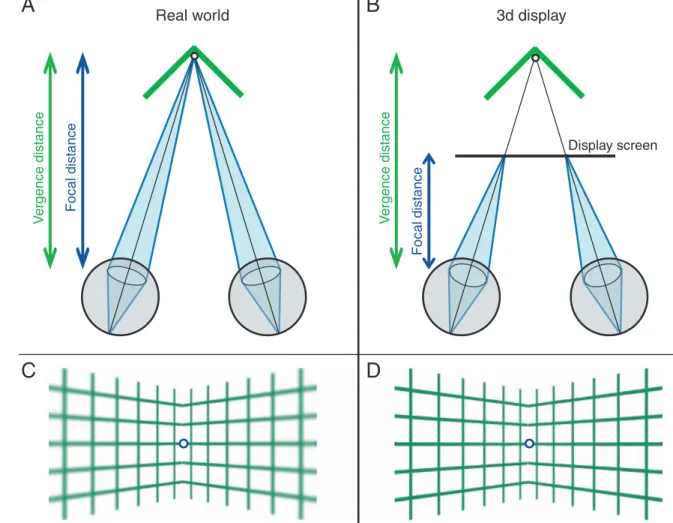 Figure 1. Vergence and focal distance with real stimuli and stimuli presented on conventional 3D displays