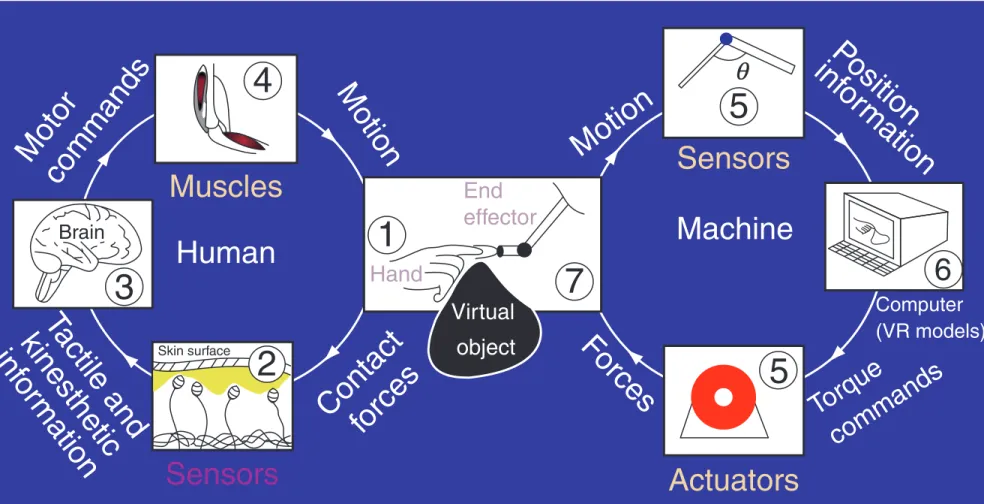 Figure 1 Human–machine haptic interaction in virtual environments. Sensors 6 5 7Motion ForcesPositioninformationTorqcommandsueMachine ActuatorsComputerHumanMachineForcesTorquecommandsMusclesSensorsActuatorsBrain415q52755663MotorcommandsMotionMotionPosition