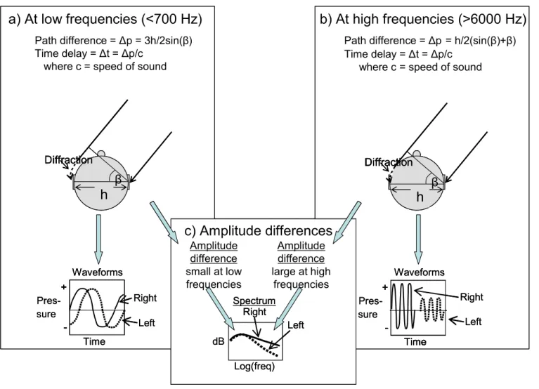 Figure 1. Inter-aural differences for a plane wave arriving at azimuth   radians. 