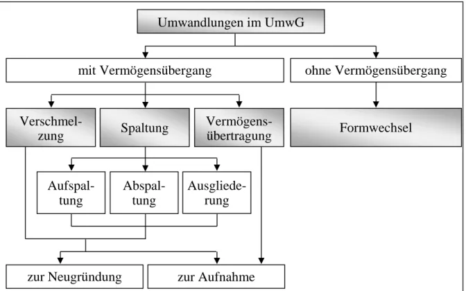 Abbildung 9:  Umwandlungsmöglichkeiten im Rahmen des UmwG 