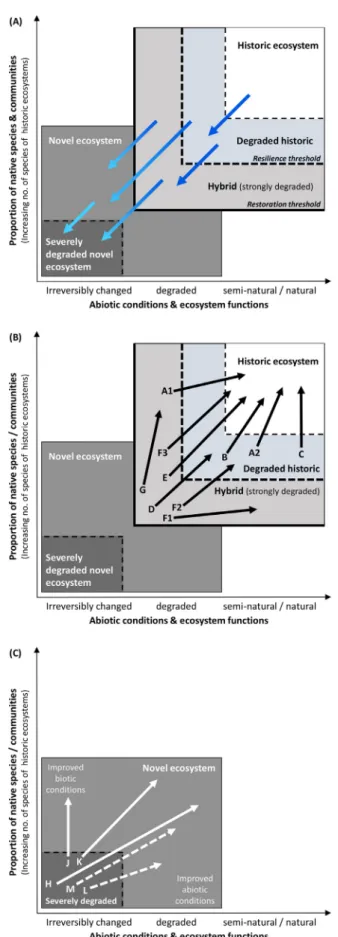 Fig. 1. Conceptual model visualising (A) the degradation of his- his-toric natural and semi-natural ecosystems to hybrid or irreversibly changed novel ecosystems (adapted from Kollmann (2019),