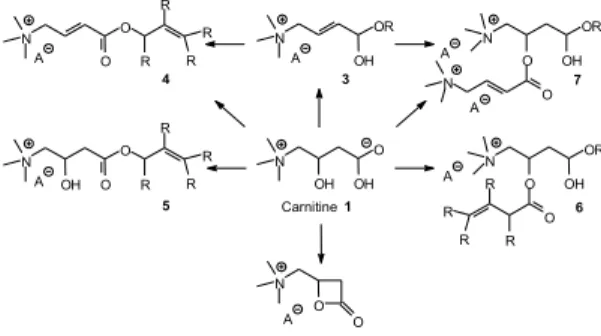 Figure 1: Carnitine derivatives for carnitine based oligo- and polymers References: