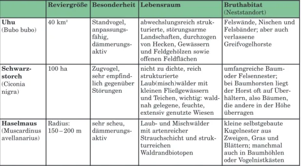 Tabelle  1:  Merkmale  der  schutzbedürftigen  und  gefährdeten,  auf  Störungsarmut  angewiesenen Tierarten Uhu, Schwarzstorch und Haselmaus
