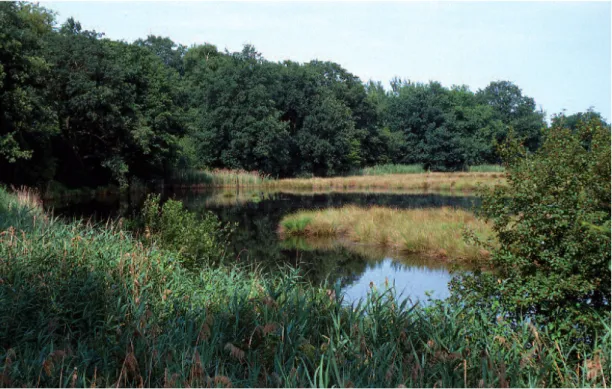 Abbildung oben –– Naturnahe Teichlandschaften sind die artenreichsten Gebiete in Sachsen