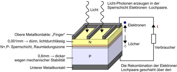 Abbildung 10: Auf den Modulen sind 60 Solarzellen  in Reihe geschaltet