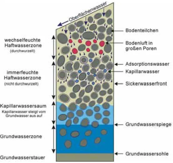 Tabelle D1 | Bodenporen und  ihre Größe – Wichtige Kenngrö­