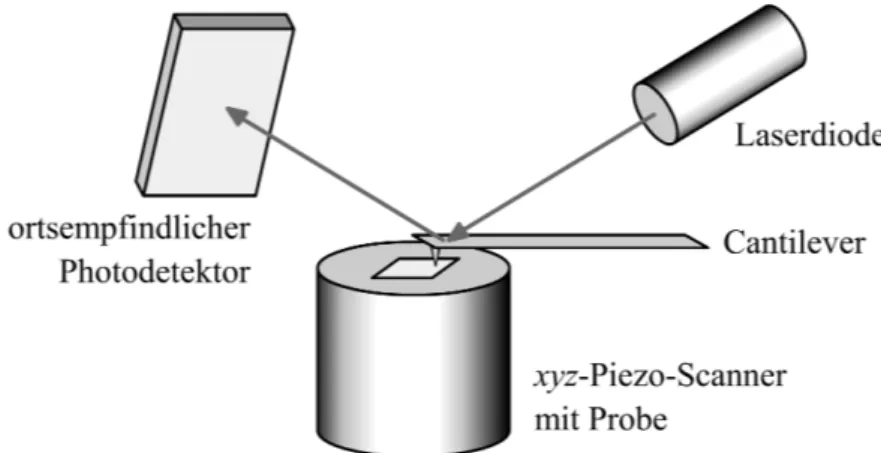 Abbildung 1: Schematischer Aufbau eines Rasterkraftmikroskops.