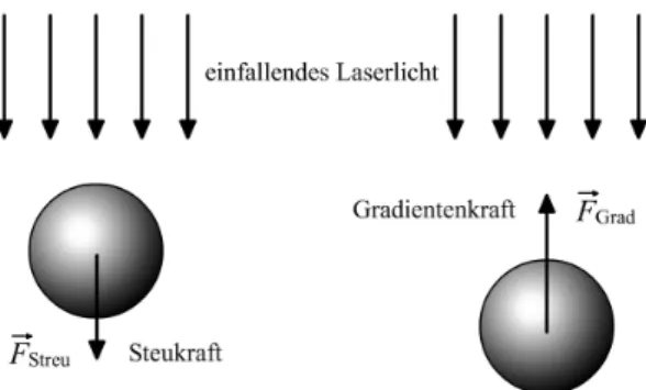 Abbildung 1: Zur Verdeutlichung von Streu- und Gradientenkraft.