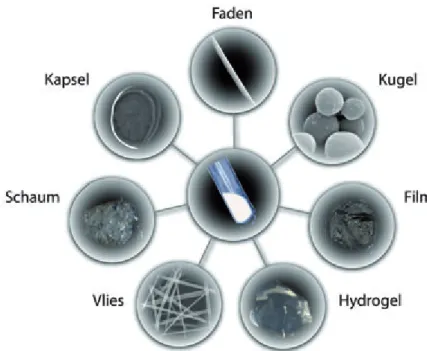 Abbildung 2: Am Lehrstuhl Biomaterialien hergestellte dreidimensionale Strukturen aus rekombinantem Spinnenseidenprotein.