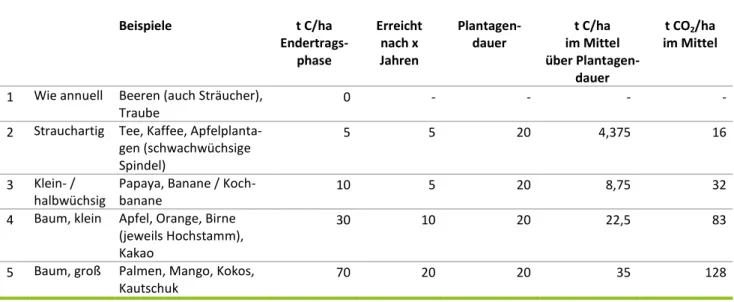 Tabelle 1: Nutzungsdauern  und Kohlenstoffbestände  von Plantagen mehrjähriger Pflanzen eingeteilt in fünf Klassen