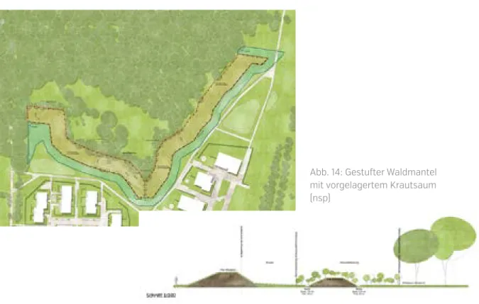 Abb. 14: Gestufter Waldmantel  mit vorgelagertem Krautsaum  (nsp)