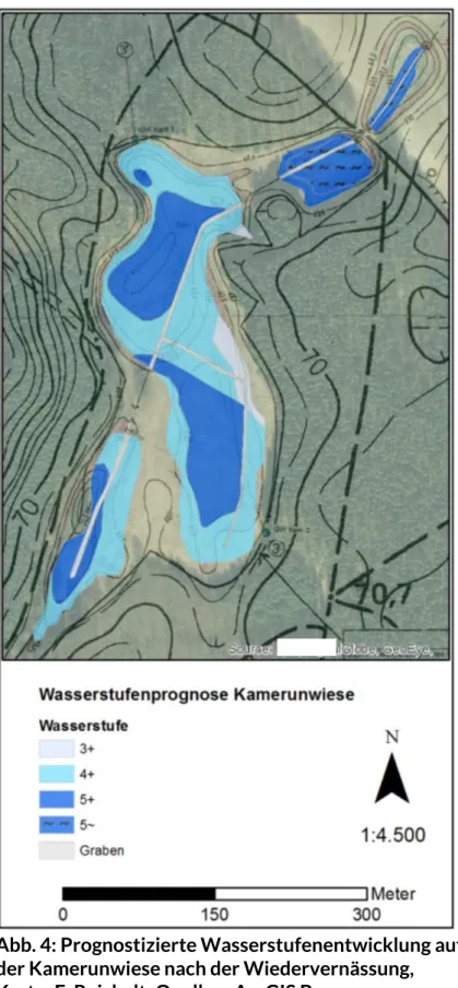 Abb. 4: Prognostizierte Wasserstufenentwicklung auf  der Kamerunwiese nach der Wiedervernässung,   Karte: F