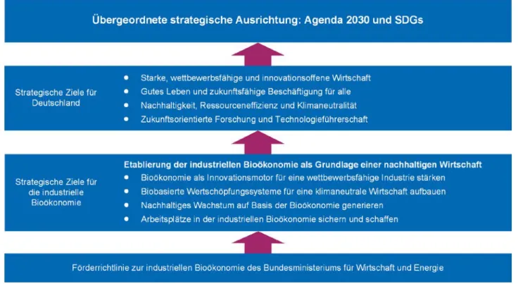 Abbildung 6: Strategisches Zielsystem zukünftiger Förderung zur industriellen Bioökonomie 