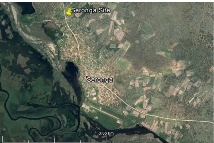 Abbildung 8: Satellitenbild des Standorts Seronga