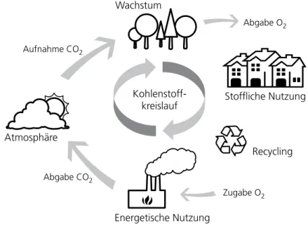 Abb. 1.2:  Kohlenstoffkreis- Kohlenstoffkreis-lauf bei der Nutzung des  nachwachsenden Rohstoffs  Holz 