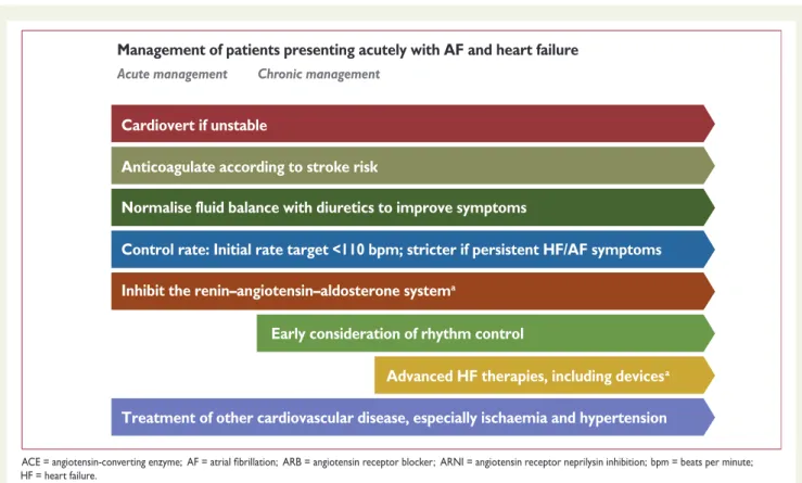 Figure 4 Initial management of patients presenting acutely with atrial fibrillation and heart failure