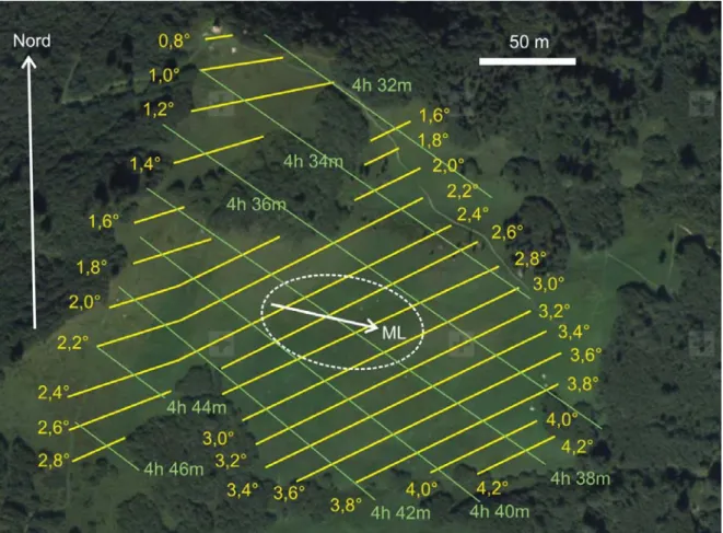 Abb. 6: Luftbild des Firstbodens mit Überlagerung von Deklinationslinien im Bereich von +4,2° bis +0,8°  