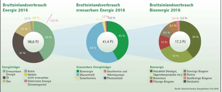 Abbildung 1: Erneuerbare Energien tragen in Tirol mehr zum Energieeinsatz bei als Erdöl,  vor allem dank Wasserkraft und Biomasse