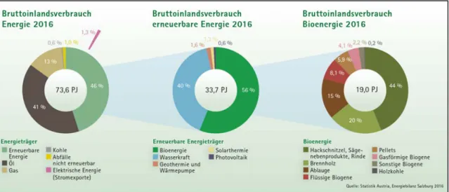 Abbildung 1: Salzburg erzielt unter allen Bundesländern den dritthöchsten Anteil   erneuerbarer Energien, vor allem dank der Biomasse