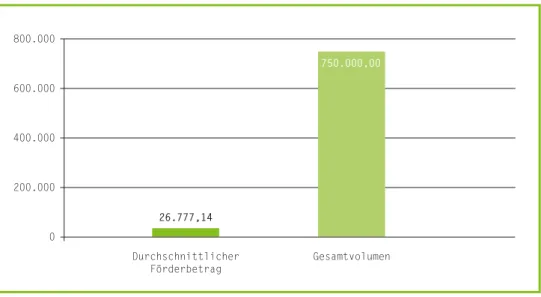 Abbildung 4.7: Durchschnittlicher Förderbetrag sowie Gesamtvolumen der Stiftung Kinderland   und der Heidehof Stiftung (Angaben in €)