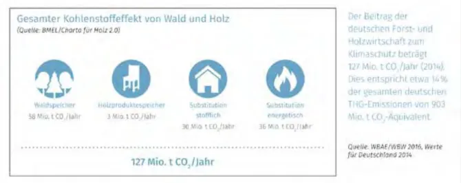 Abbildung 3: Die deutsche Forst-  und Holzwirtschaft trägt wesentlich zur Senkung der  Treibhausgasemissionen bei