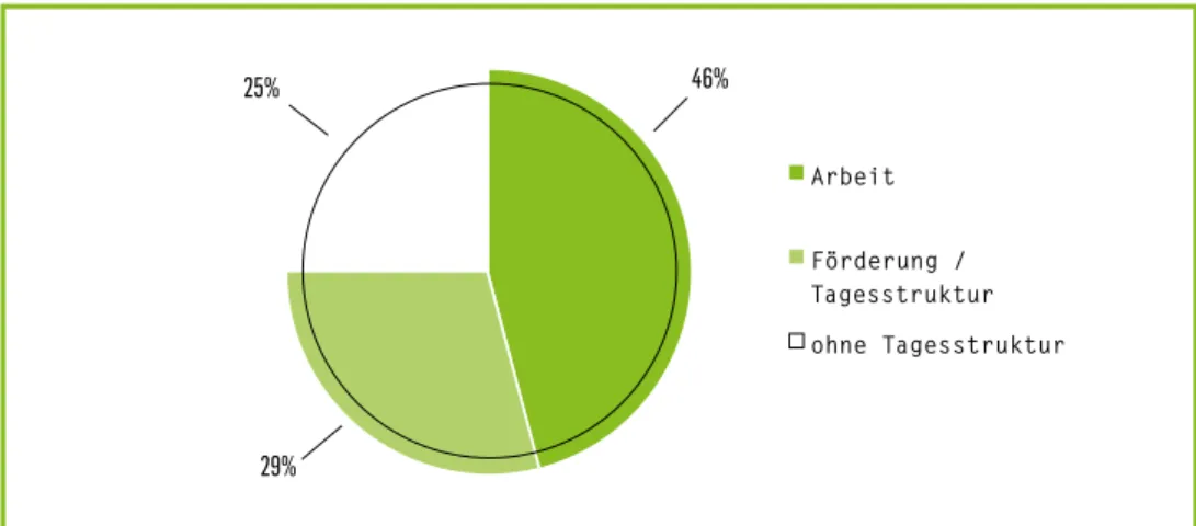 Abbildung 7: Evaluation personenbezogener Begleitprozesse – Formen der Tagesgestaltung der TN  (Angaben in %) 46% 29% 25%  Arbeit  Förderung /  Tagesstruktur  ohne Tagesstruktur 