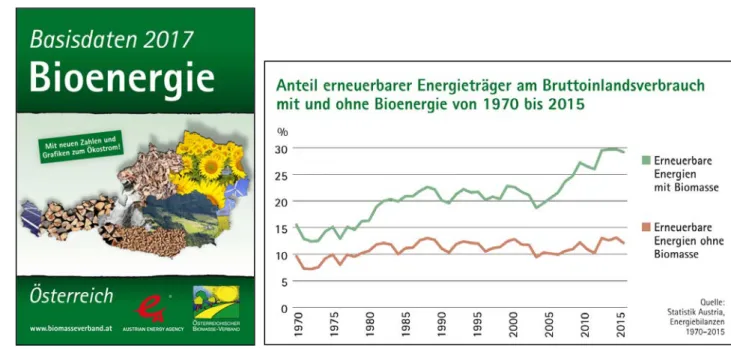 Abbildung 1: Cover Basisdaten Bioenergie Österreich 2017 