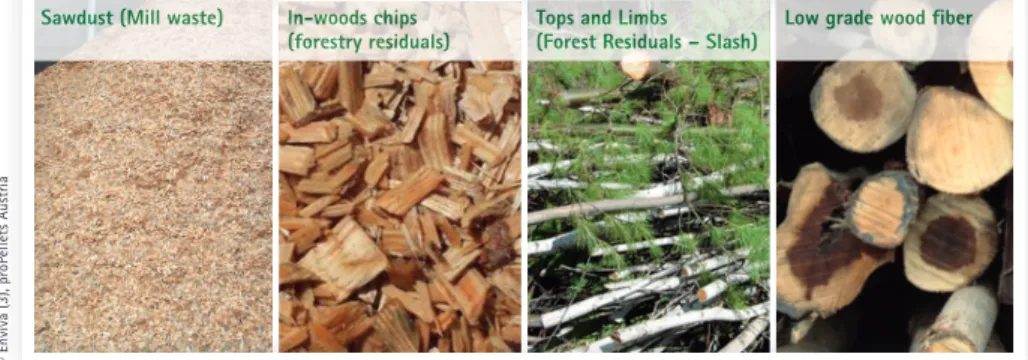 Fig. 3: The Pellet industry accounted for 4.5 % of total hardwood removals in 2014.