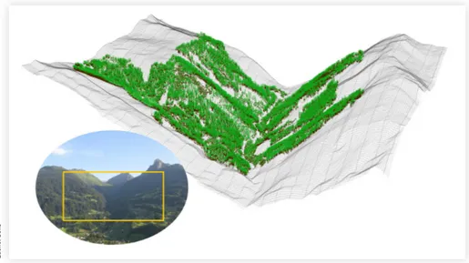 Abb. 4: Digitale Abbildung eines Einzugsgebietes im Montafon, wie sie für die Analyse mit Waldökosystemmodellen  verwendet wird