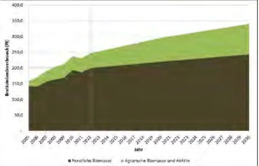 Abbildung 2: Bruttoinlandsverbrauch Bioenergie (2005 – 2012) und Ausbaupotenziale bis 2030 